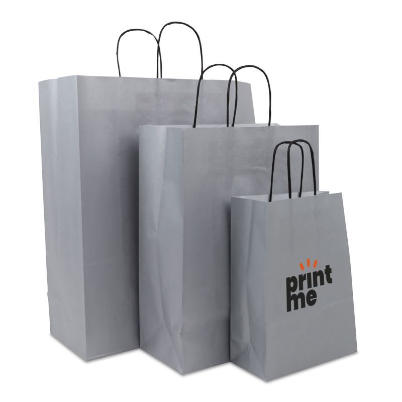 Papiertragetaschen mit gedrehte Griffe - Einfarbig 35+14x41 cm Silber (250 Stück) [FP-DPT074]