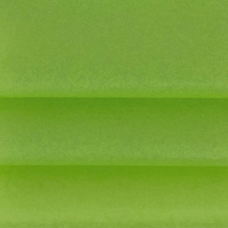 Tissue Paper 75x50cm Citrus