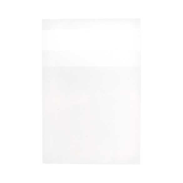 Sacchetto di plastica trasparente 6.5x6.5cm con chiusura adesiva (100 pezzi) [B2X2]