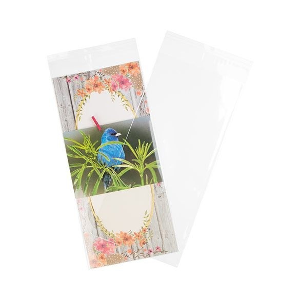 Sachet plastique transparence cristalline 14,5x30,6cm avec Rabat Adhésif (100 pièces) [B512]