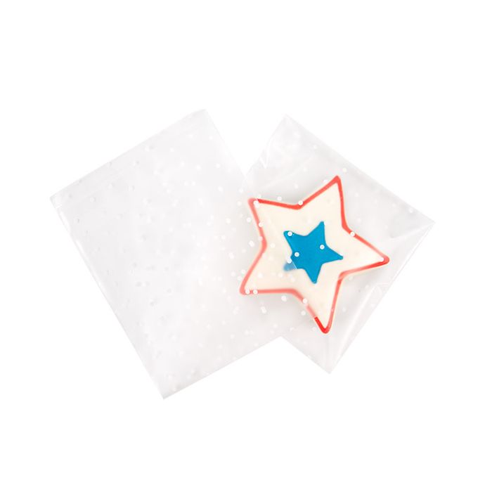 Sachet Plastique glacés 12,7x12,7 cm Avec poids et rabat adhésif (100 pièces) [B55FD]