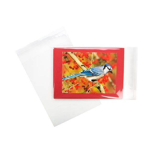 Sachet plastique transparence cristalline 14,6x19,7cm avec Rabat Adhésif (100 pièces) [B57M]