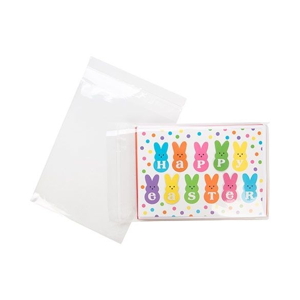 B5N9 Sachet Plastique transparent 15,1 x 19,7cm refermable par rabat adhésif (100 pièces)