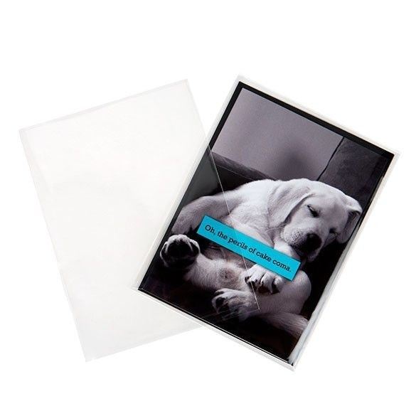 Sacchetto di plastica trasparente 12,5x17 cm (100 pezzi) [B65NF]