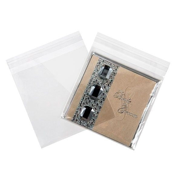 Sacchetto di plastica trasparente 16x16cm con chiusura adesiva (100 pezzi) [B66]