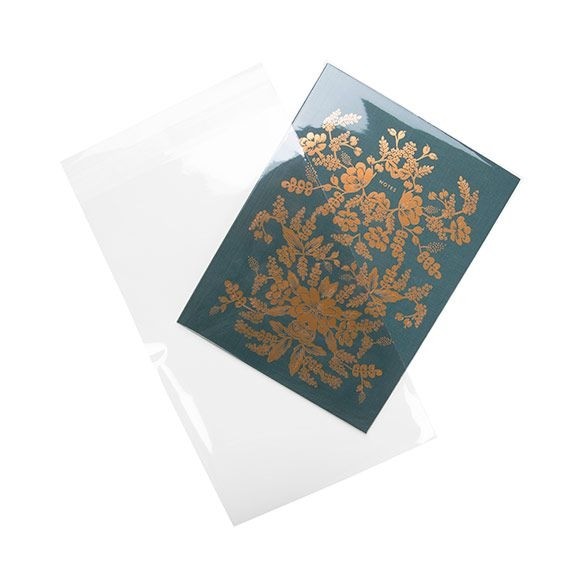 Sachet plastique transparence cristalline 15,7x25,4cm avec Rabat Adhésif (100 pièces) [B6X10]