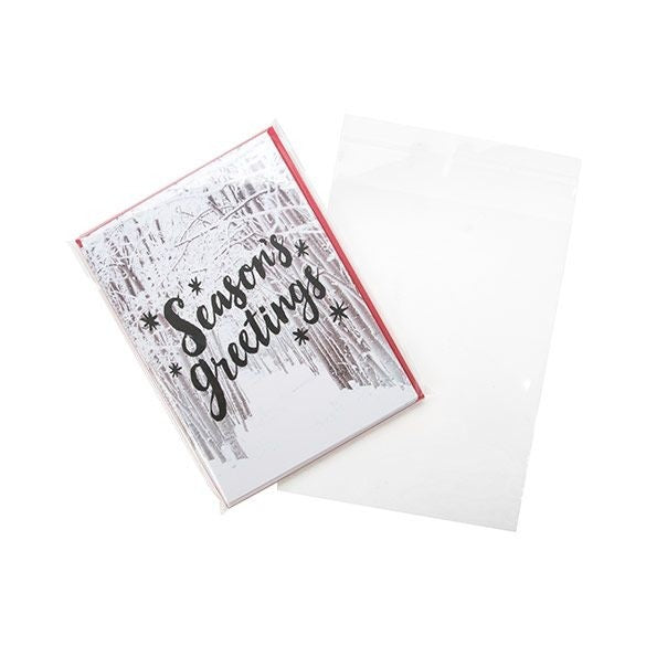 Sachet plastique plat grand format 14,8x19,1cm Refermable par Rabat Adhésif (100 pièces) [B7B2]