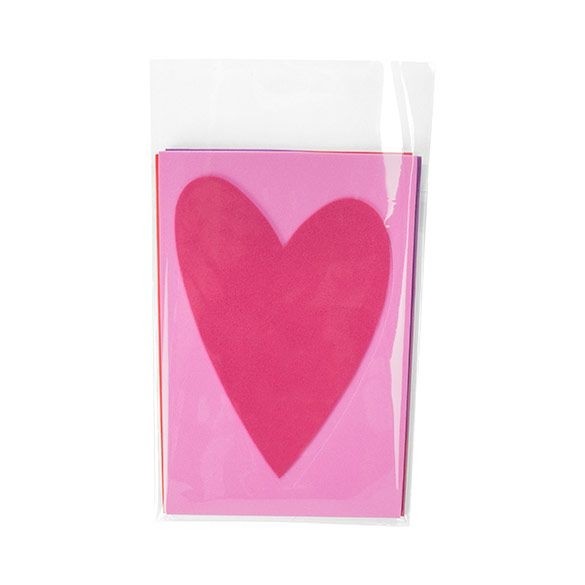 Sachet plastique plat grand format 11,1x15,1cm Refermable à Fermeture “Sécurisée” (100 pièces) [BA6SPC]