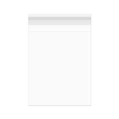 Sacchetto di plastica trasparente 21x25,7cm con chiusura adesiva (100 pezzi) [B108S]