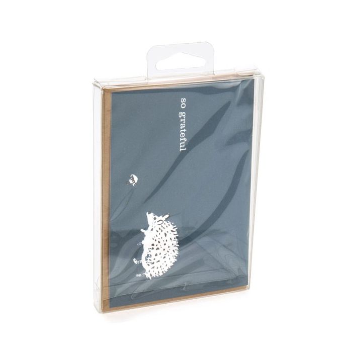 Scatole trasparenti 9.6x1.6x13.2cm (con foro per appendere nel mezzo) (25 pezzi) [CHFB10]