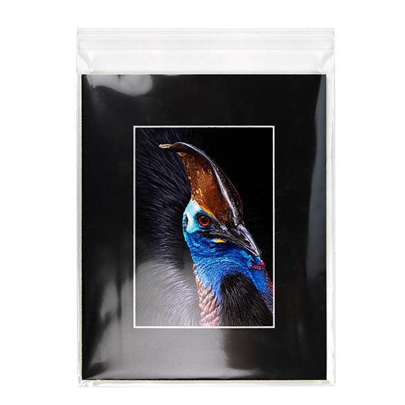 Umweltfreundliche Beutel 21.4x26cm Transparent - Premium (100 Stück) [GC108]