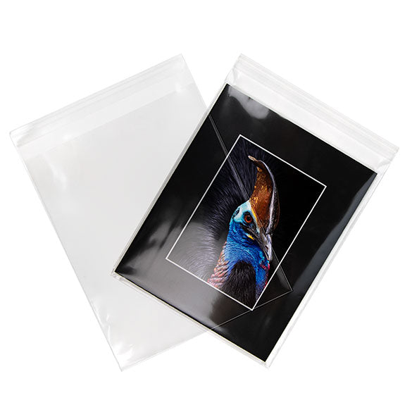 Umweltfreundliche Beutel 21.4x26cm Transparent - Premium (100 Stück) [GC108]
