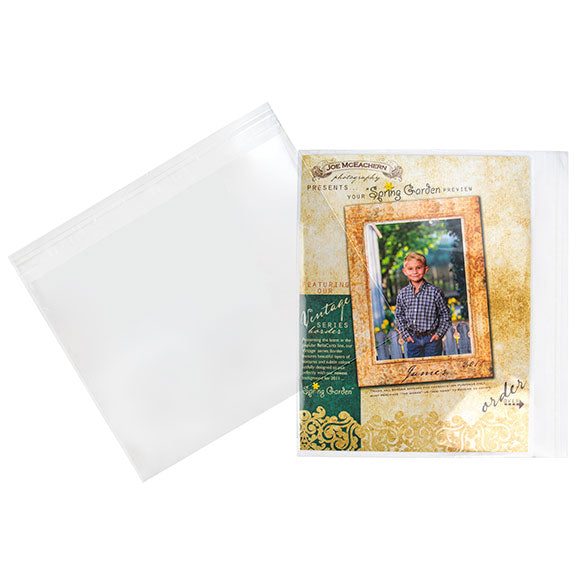 Umweltfreundliche Beutel 29.1x22.2cm Transparent - Premium (100 Stück) [GC118]