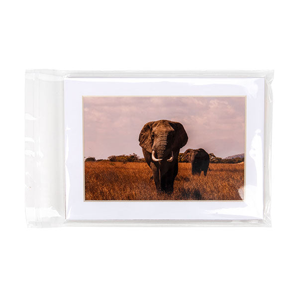 Sachet Écologique haute qualité refermable à rabat 14.4x19.1cm (100 pièces) [GC7B1]