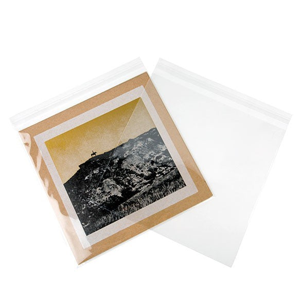 Sacchetto di plastica trasparente 31.6x31.1cm con chiusura adesiva (250 pezzi) [VL12X12]