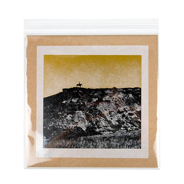 Sacchetto di plastica trasparente 31.6x31.1cm con chiusura adesiva (250 pezzi) [VL12X12]