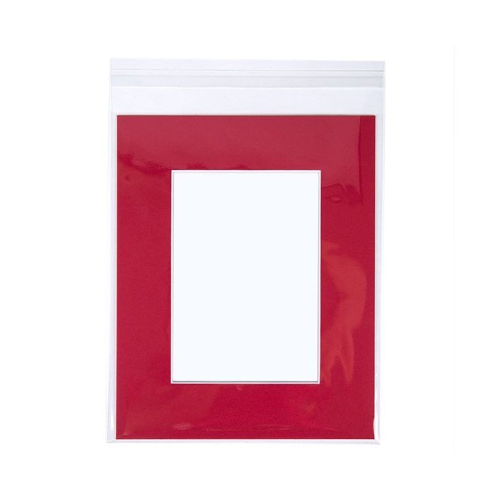 Sacchetto di plastica trasparente 21.4x26cm con chiusura adesiva (250 pezzi) [VL108]