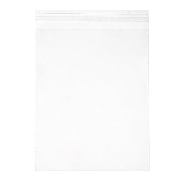 Sacchetto di plastica trasparente 21x25.7cm con chiusura adesiva (250 pezzi) [VL108S]
