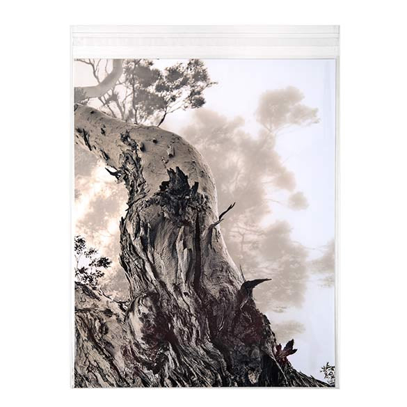 Klappenbeutel 28,6x35,9cm Hochtransparent (250 Stück) [VL11S]