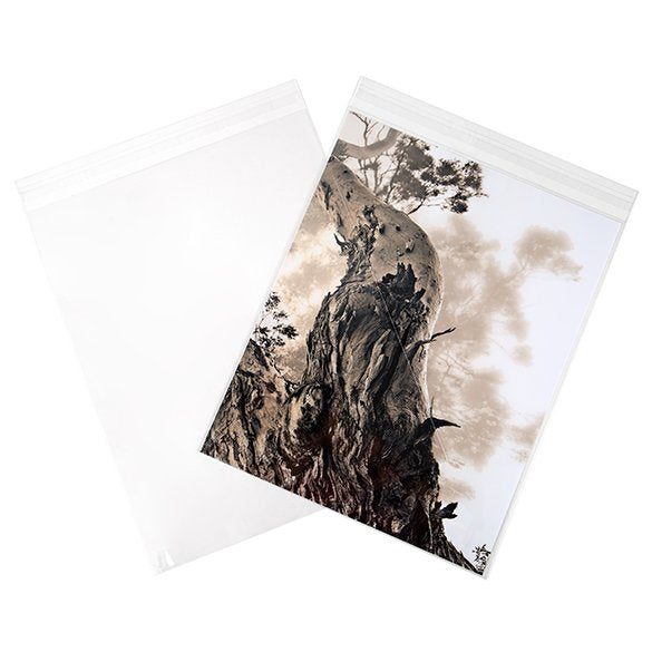 Klappenbeutel 28,6x35,9cm Hochtransparent (250 Stück) [VL11S]