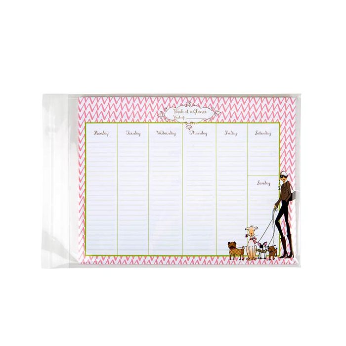 Sacchetto di plastica trasparente 22.9x30.5cm con chiusura adesiva (250 pezzi) [VL912]