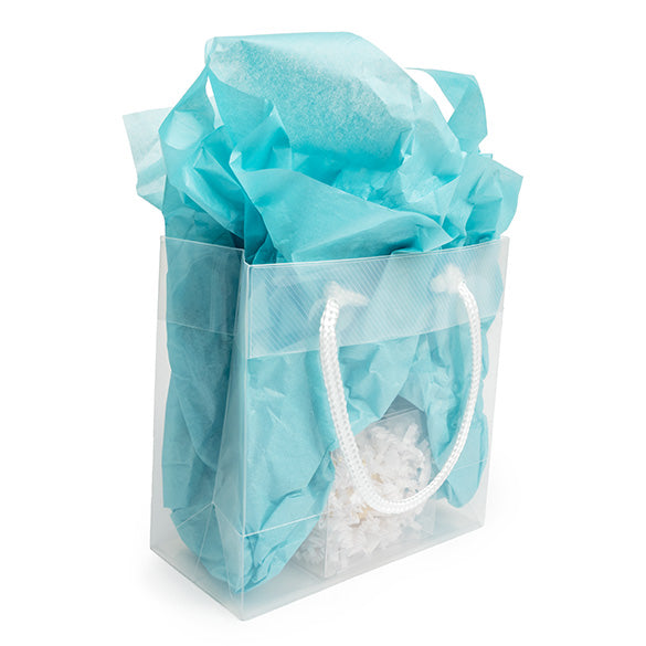 Shopper regalo 16x7.6x16cm (10 pezzi) [G66ZZ1]