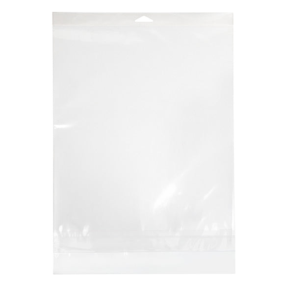 Sacchetti con foro di sospensione 29.1x36.2cm con chiusura di protezione (100 pezzi) [HB11PC]