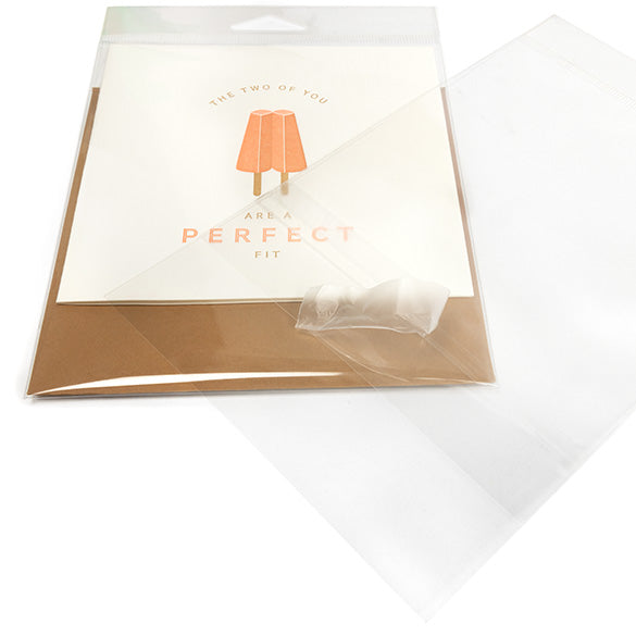 Sachet à trou de suspension refermable avec fermeture sécurisée 12.7x15.2cm (100 pièces) [HB5B2PC]