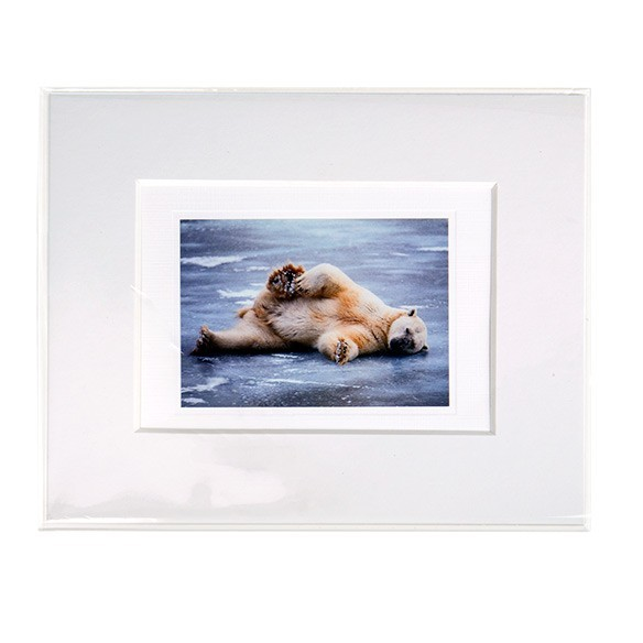 Sachet plastique transparence cristalline avantageux sans rabat 21x26cm (250 pièces) [VL108SNF]