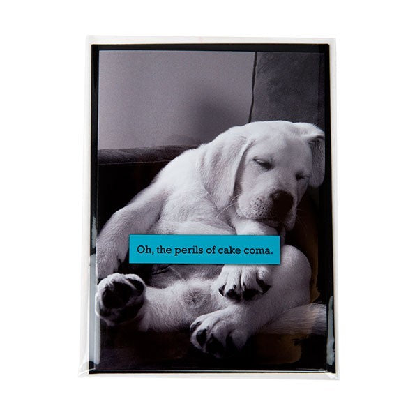 Sachet plastique transparence cristalline avantageux sans rabat 12.6x17cm (250 pièces) [VL65NF]