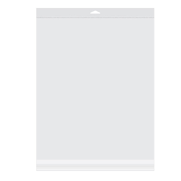 Sachet à trou de suspension refermable à transparence cristalline 34.1x41.3cm (100 pièces) [HB13]