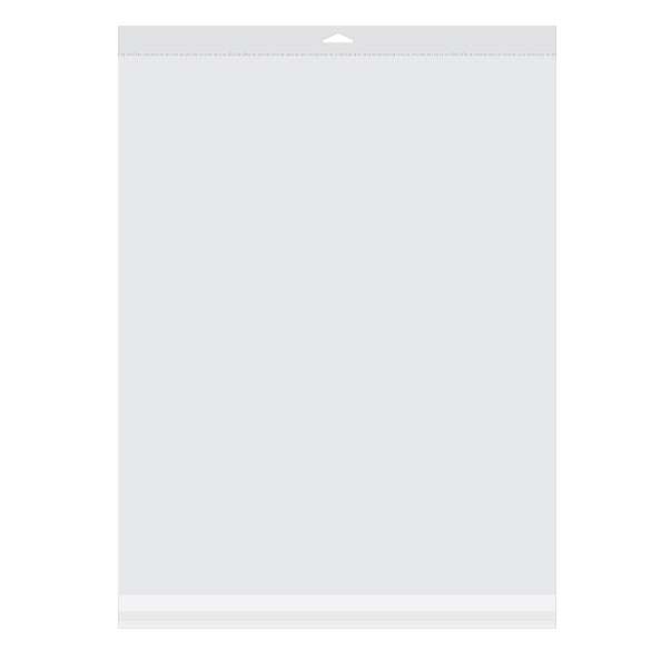 Sacchetti con foro di sospensione 41.8x51.4cm richiudibili e trasparenti (100 pezzi) [HB16]