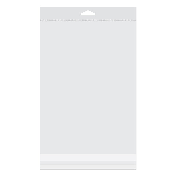 Sacchetti con foro di sospensione 20x27.6cm richiudibili e trasparenti (100 pezzi) [HB7X10]