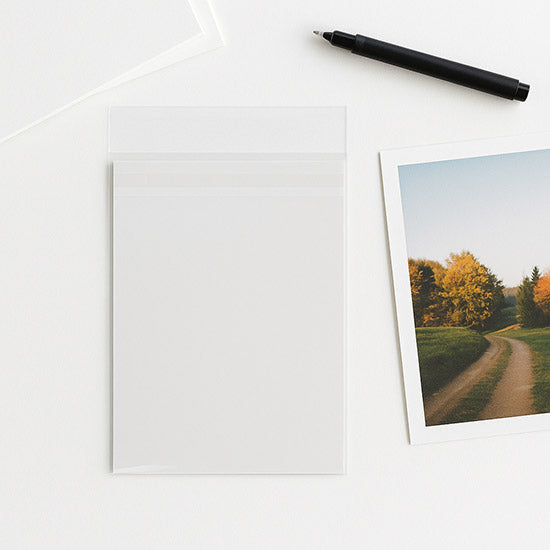 Sachet plastique OPP transparence cristalline avec rabat sécurisé 10.8x15.6cm (100 pièces) [PR4X6]