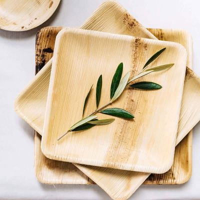 Piatto quadrato in foglie di palma, 20x20 cm (200 pezzi) [GB-DTW05350]