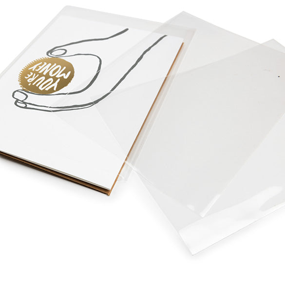 Umweltfreundliche Beutel 9.7x13.2cm Transparent - Premium (100 Stück) [GC3X5NF]