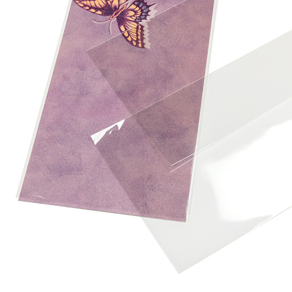 Umweltfreundliche Beutel 11x24.3cm Transparent - Premium (100 Stück) [GC49NF]