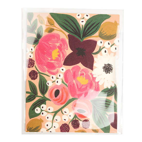 Umweltfreundliche Beutel 11.5x15cm Transparent (100 Stück) [GC54NF]