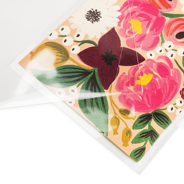 Umweltfreundliche Beutel 11.5x15cm Transparent (100 Stück) [GC54NF]