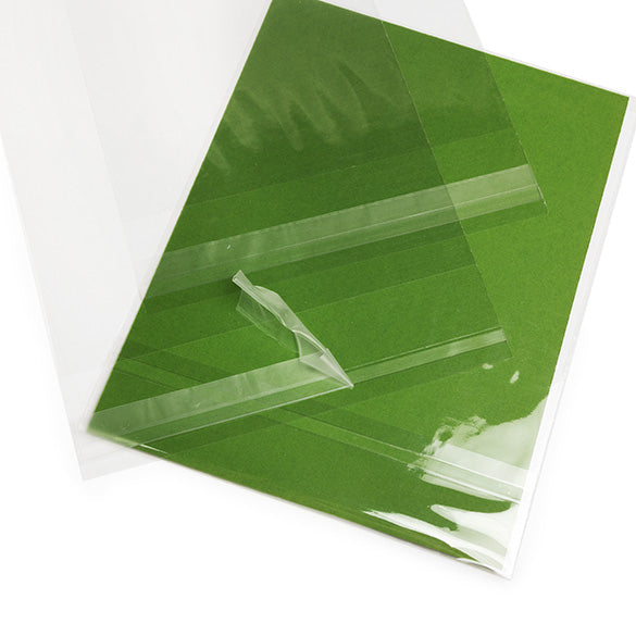Sacchetto ecologico con soffietto richiudibile 13.8x17.8cm qualità premium (100 pezzi) [GC6B3]
