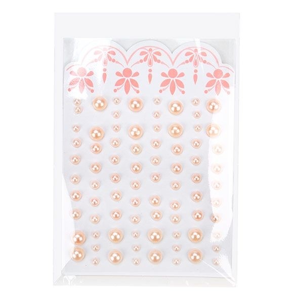 Sachet Écologique haute qualité scellable sans rabat 10.2x15.3cm (100 pièces) [GC46ENF]