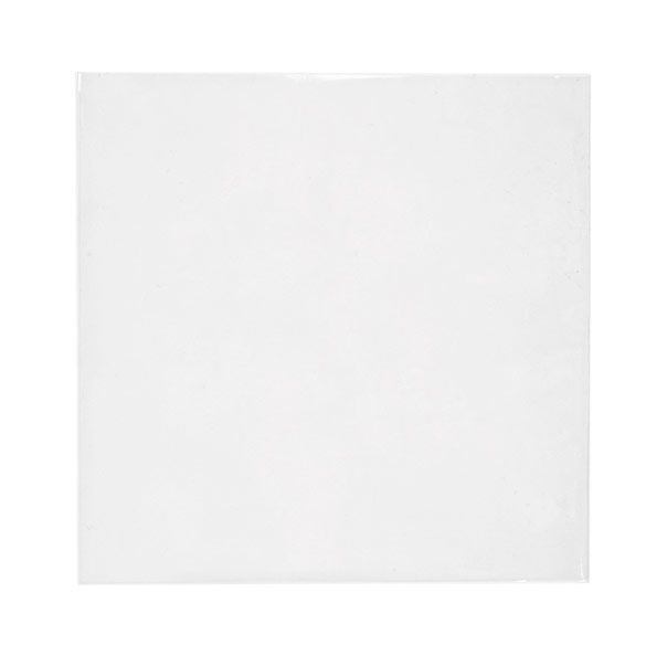 Umweltfreundliche Beutel Bioplastik 17x16.7cm Transparent (100 Stück) [GC6X6MNF]