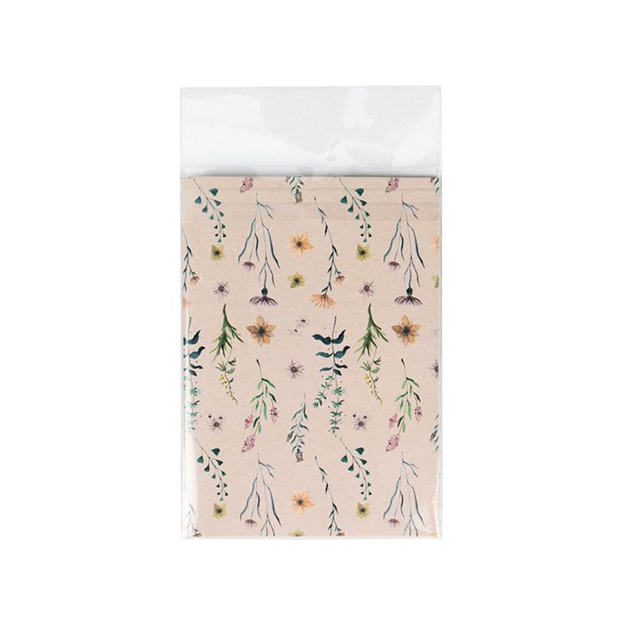 Umweltfreundliche Beutel 10.3x13.7 cm Transparent mit Schutzverschluss (100 Stück) [GC4B1PC]