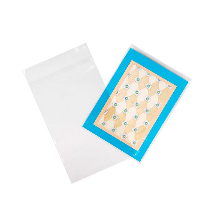 Umweltfreundliche Beutel 15.2x24.1 cm Transparent mit Schutzverschluss (100 Stück) [GC69HPC]