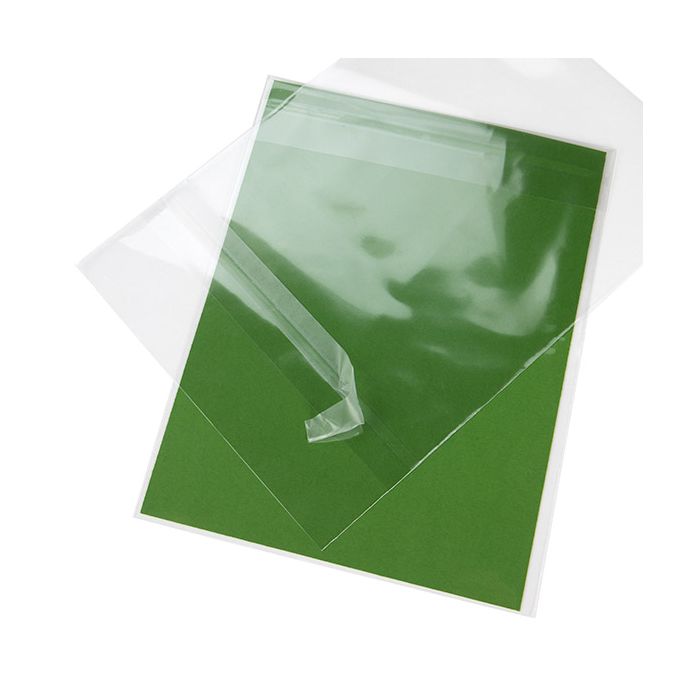 Umweltfreundliche Beutel 15.2x24.1 cm Transparent mit Schutzverschluss (100 Stück) [GC69HPC]