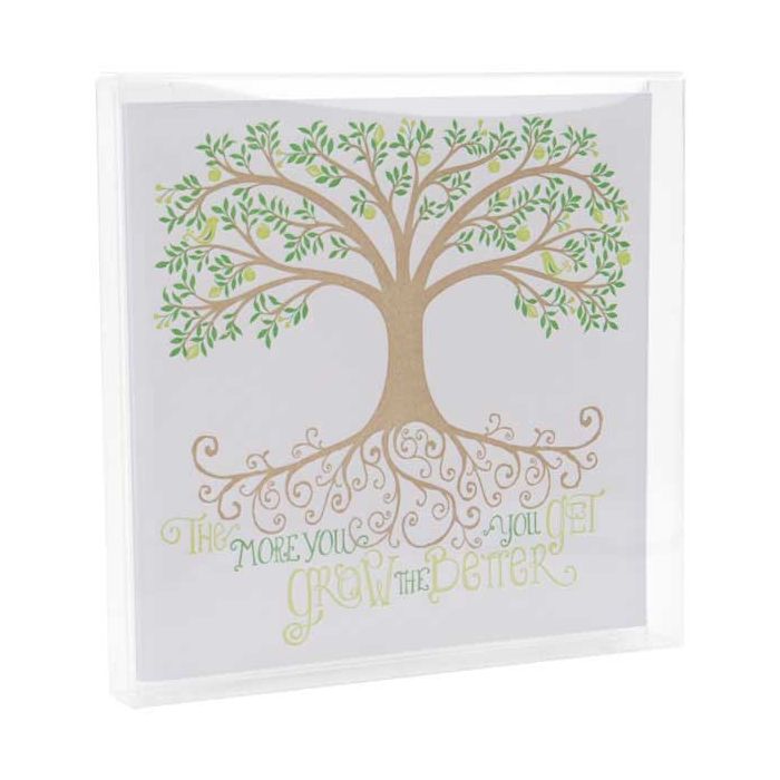 Klarsichtschachteln 13x1.6x12.9cm Transparent (25 Stück) [FB11]