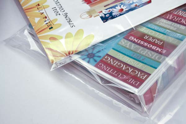 Sachet plastique transparence cristalline en PE-BD 50 microns 10.2x10.2cm (100 pièces) [PE244] En vente jusqu’à écoulement des stocks!