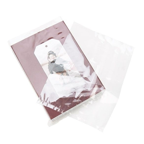 Sachet en polypropylène transparent de 15,2x20,3 cm (100 pièces) [FP168]