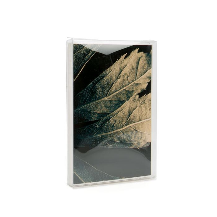 Klarsichtschachteln 10.8x1.6x15.6cm Transparent (25 Stück) [FPB61]