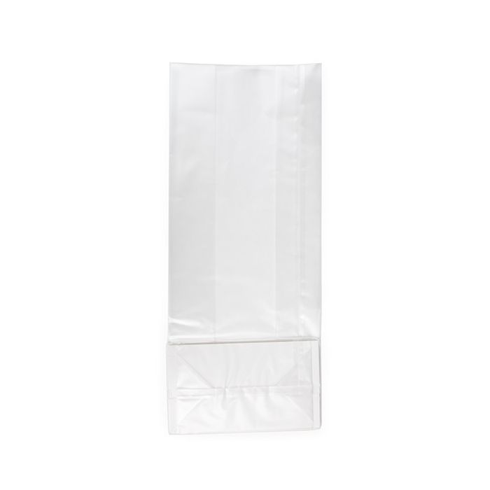 Block Bottom Bags w/ Paper Insert Frosted 12.7x7.6x30.5 cm